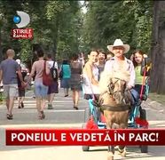 Poneiul vedeta! Rocky face senzatie printre copii de mai bine de 9 ani VIDEO